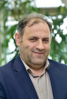 Seyed Amir Mohammad Emam Jomezadeh